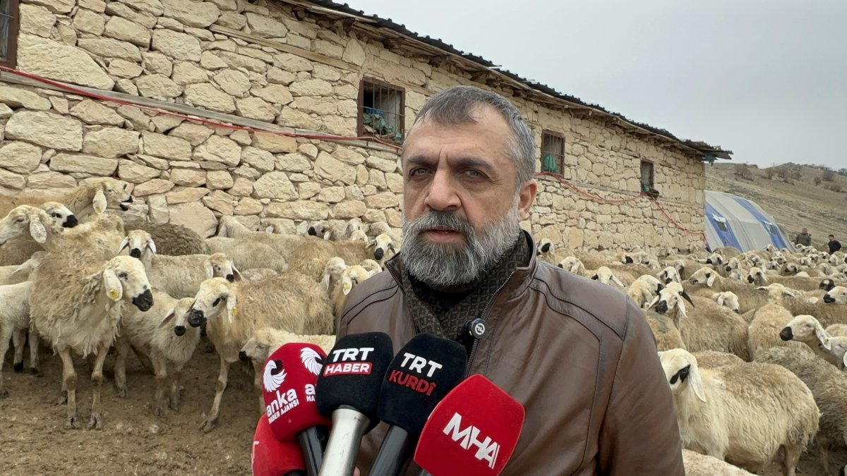 Malatya’da Kuzu Doğum Sezonu Başladı: Üreticiler Gece Gündüz Ağılda