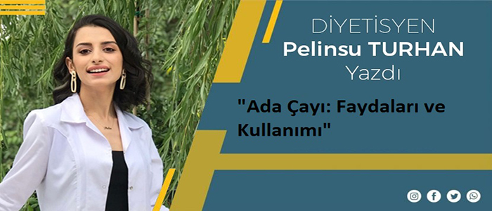 "Ada Çayı:  Faydaları ve Kullanımı"