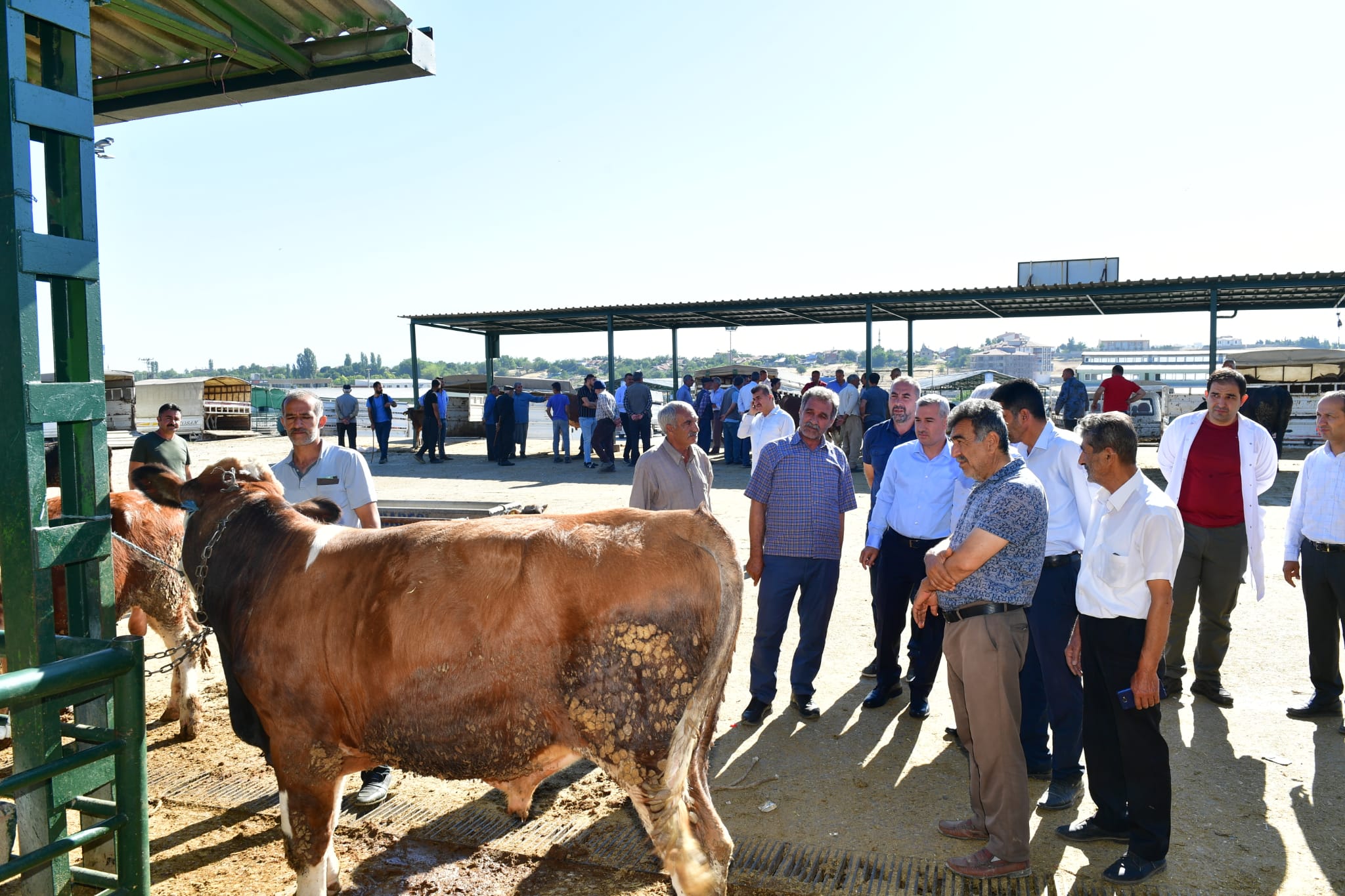 Başkan Çınar’dan Canlı Hayvan Pazarına  Ziyaret