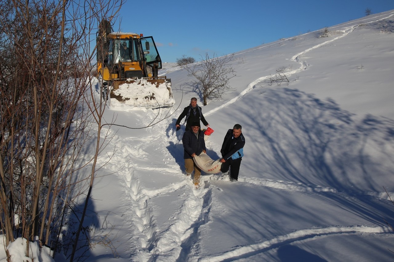 Battalgazi Belediyesi Aç Kalan Tavuklar İçin Seferber Oldu