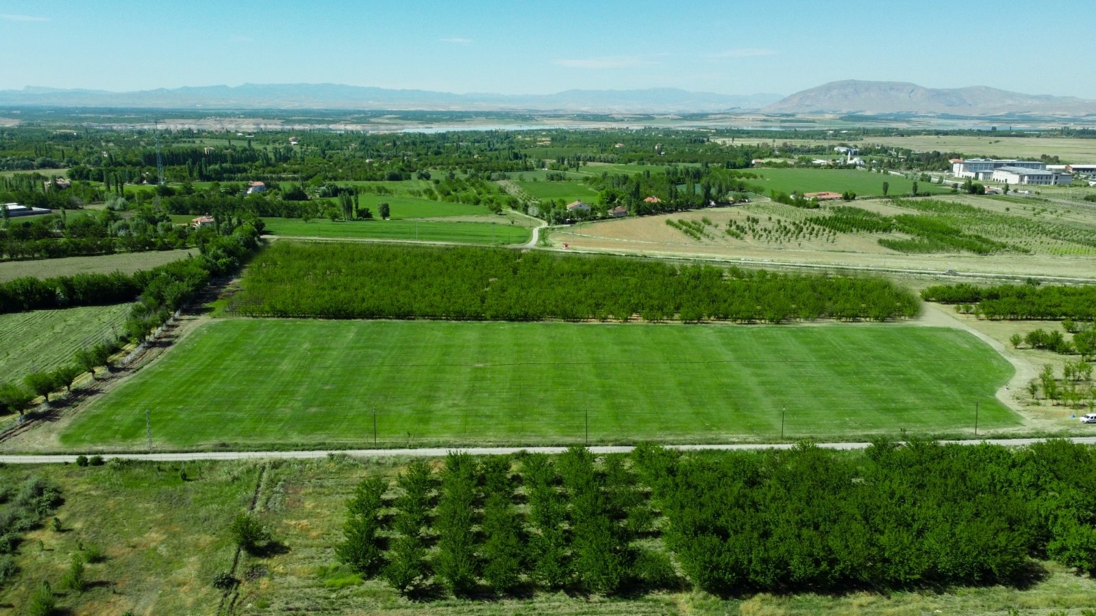 Battalgazi Belediyesi ‘rulo çim üretim tesisi’ kurdu