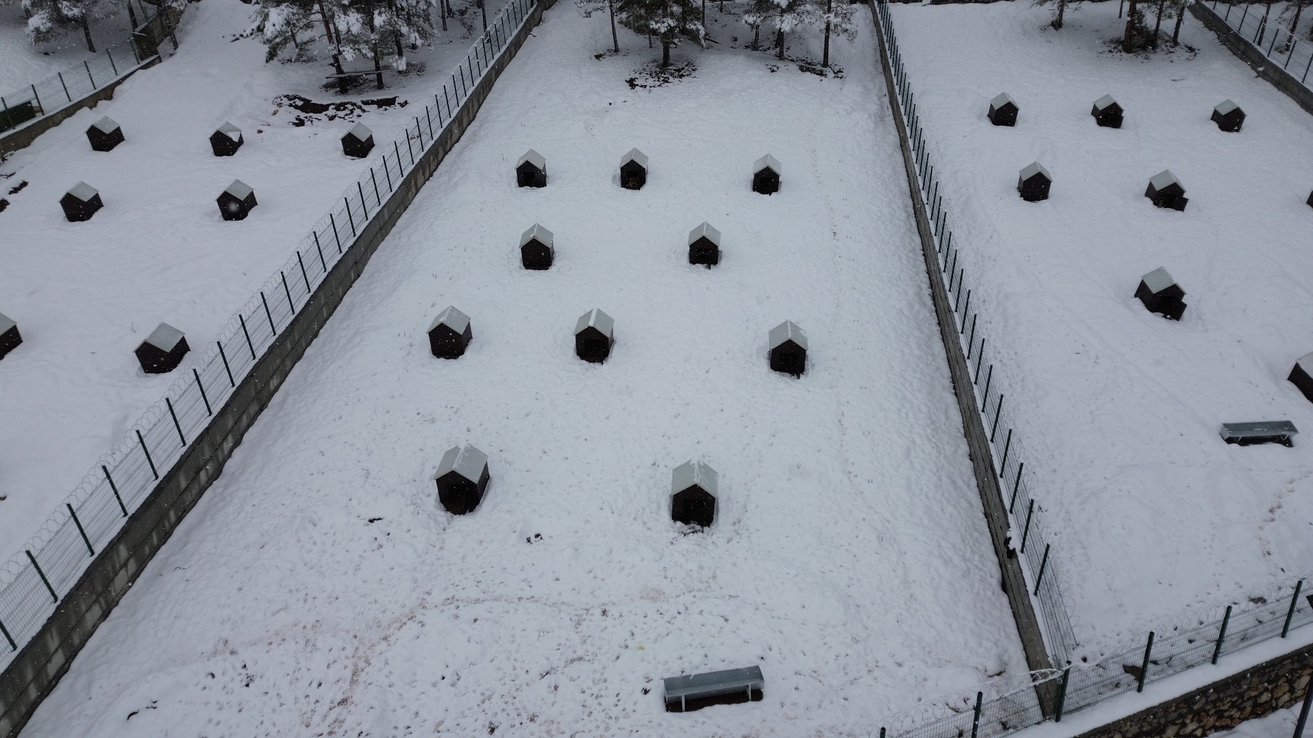 BATTALGAZİ’DE MALATYA’NIN İKİNCİ HAYVAN BARINAĞI HİZMETE BAŞLADI
