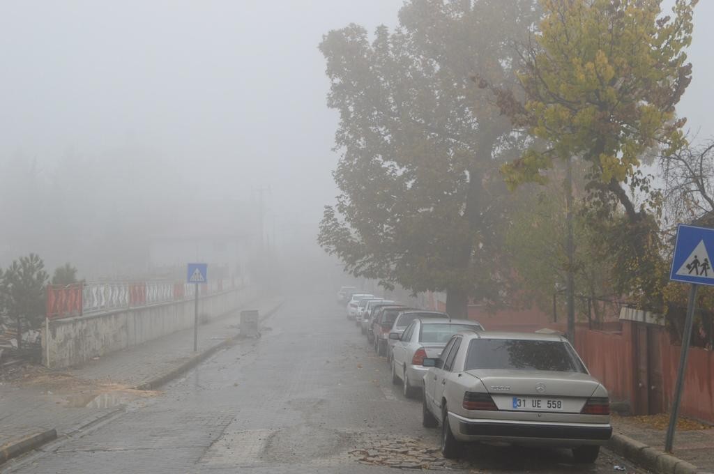 Besni Sise Teslim Oldu