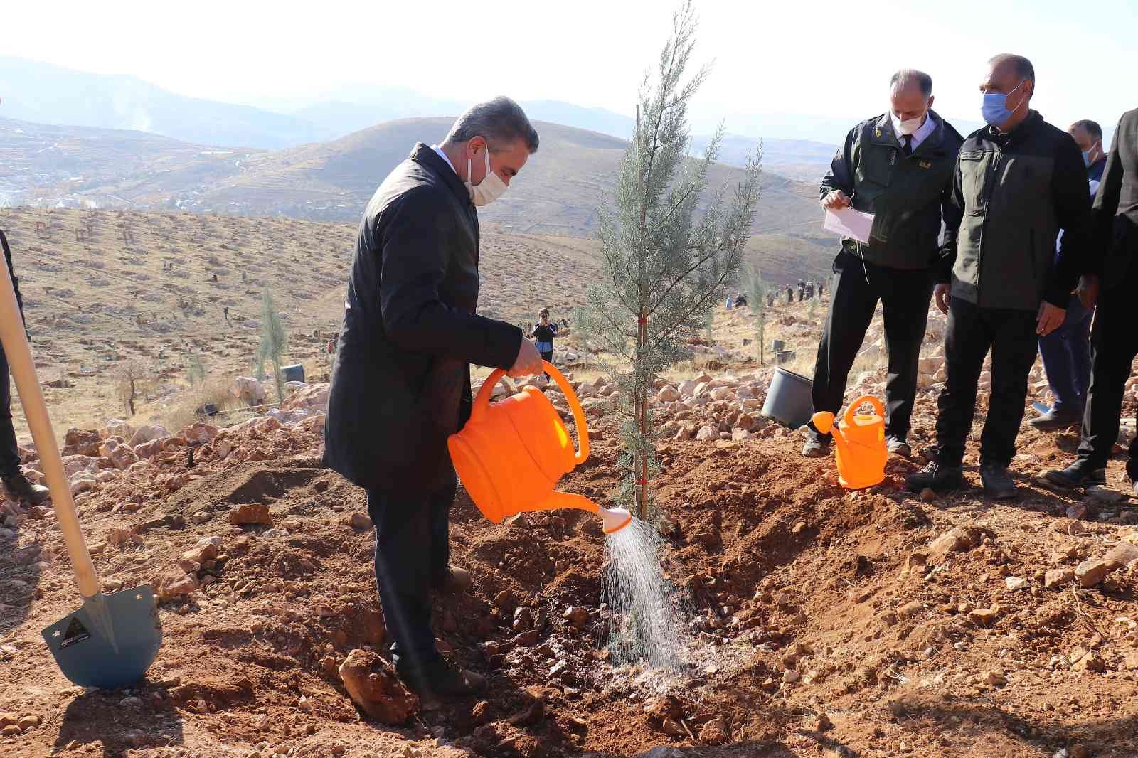 Bir Yılda 2 Milyon 250 Bin Fidan Toprakla Buluşacak