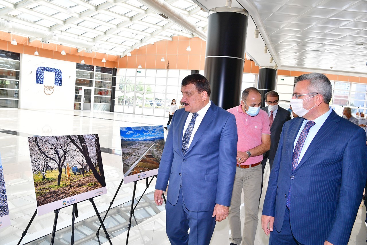 "Çekirdekten meyveye kayısı" fotoğraf sergisi açıldı