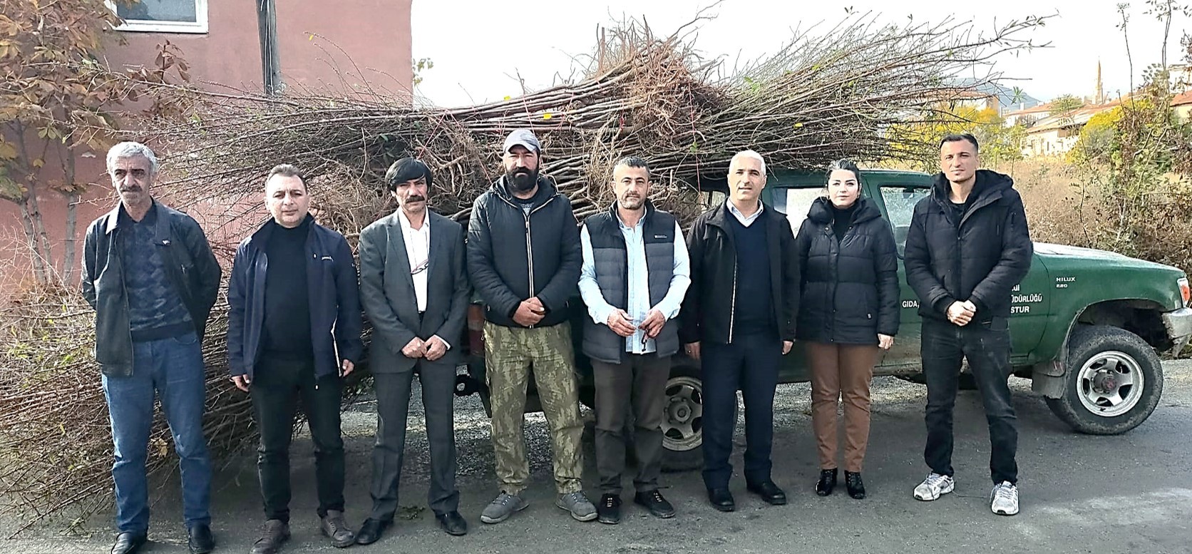 Çiftçilere Sertifikalı Fidan Dağıtıldı