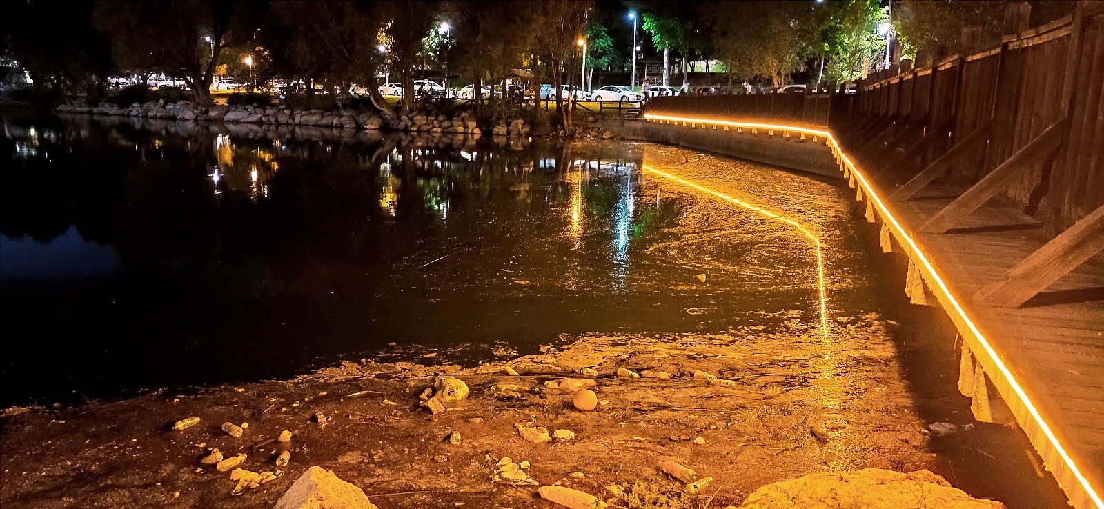 Çöplere teslim oldu