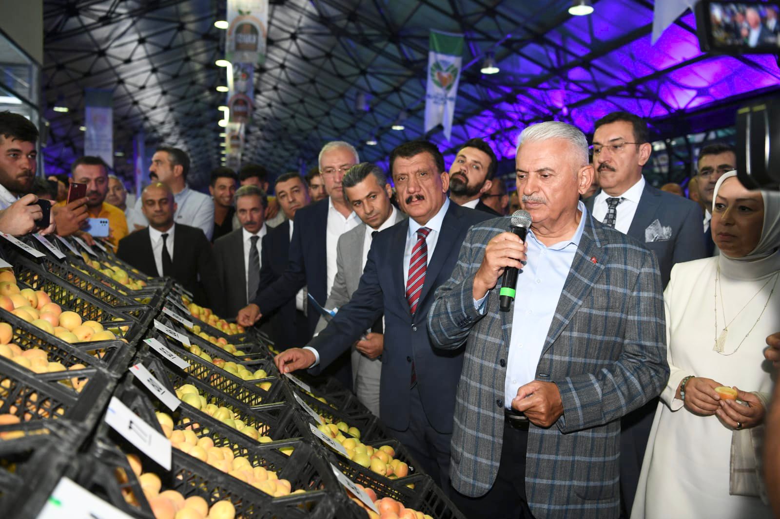 En Güzel  Kayısı  Seçildi