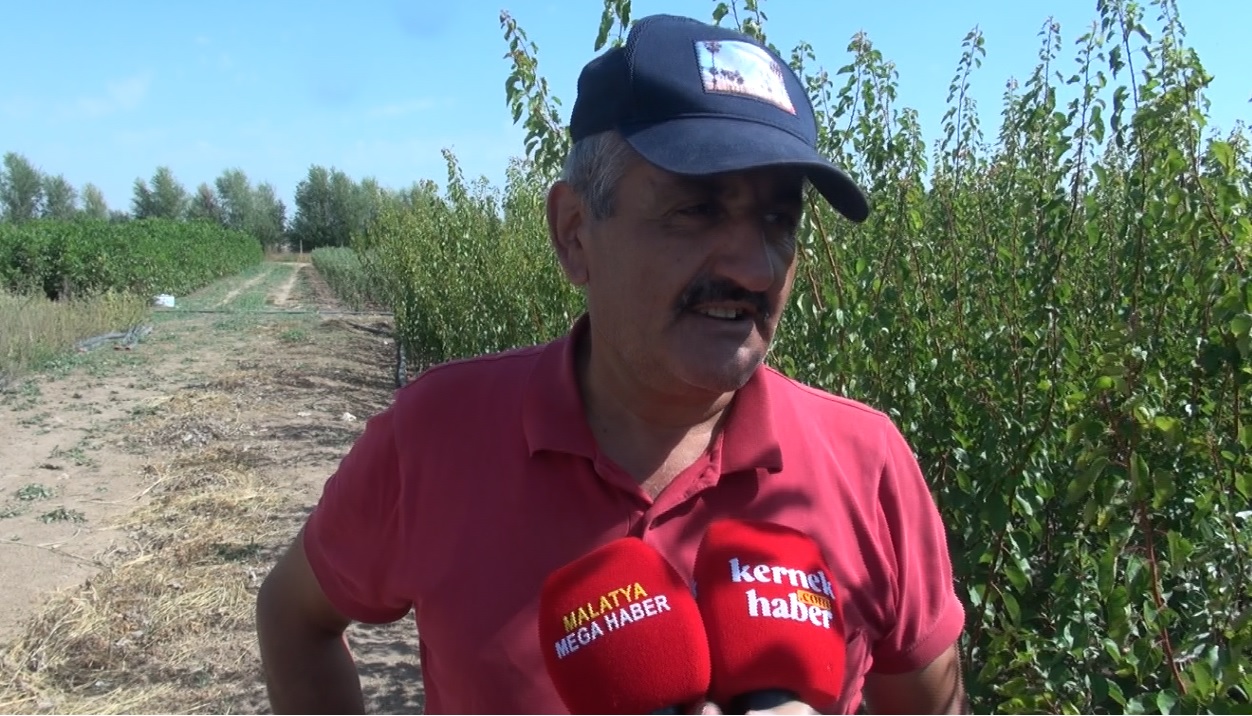 Fidancılardan Üreticilere Uyarı, "Sertifikasız Fidan Almayın"