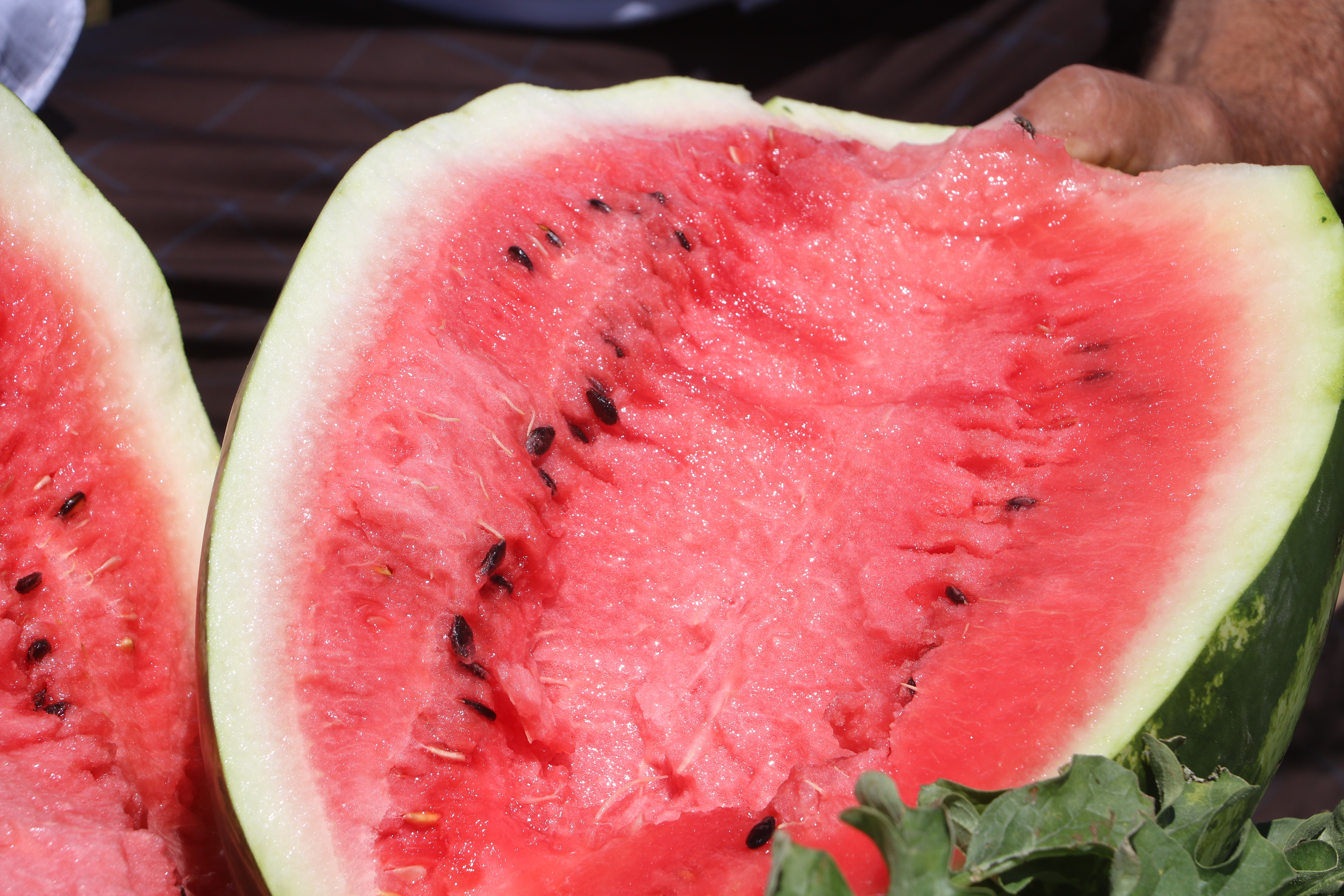 Görüntüsü göz kamaştırıyor, lezzeti damakları tatlandırıyor