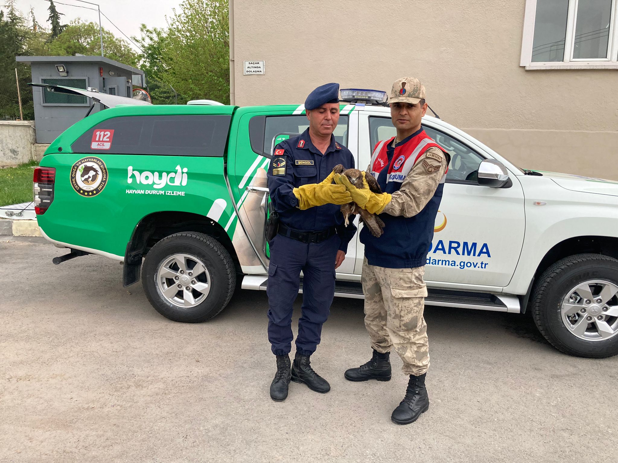 Jandarmadan Kızıl Şahine Şefkat Eli