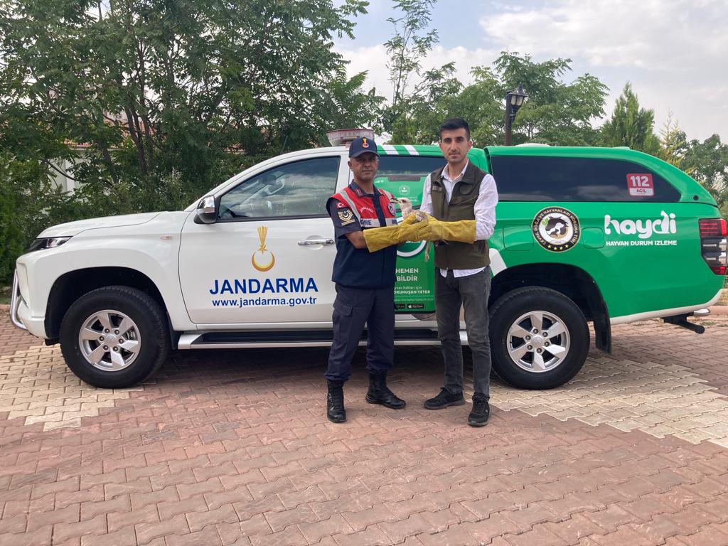 Jandarmadan Örnek Davranış