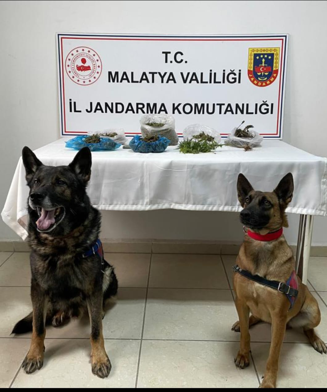 Jandarmadan Uyuşturucu Operasyonu