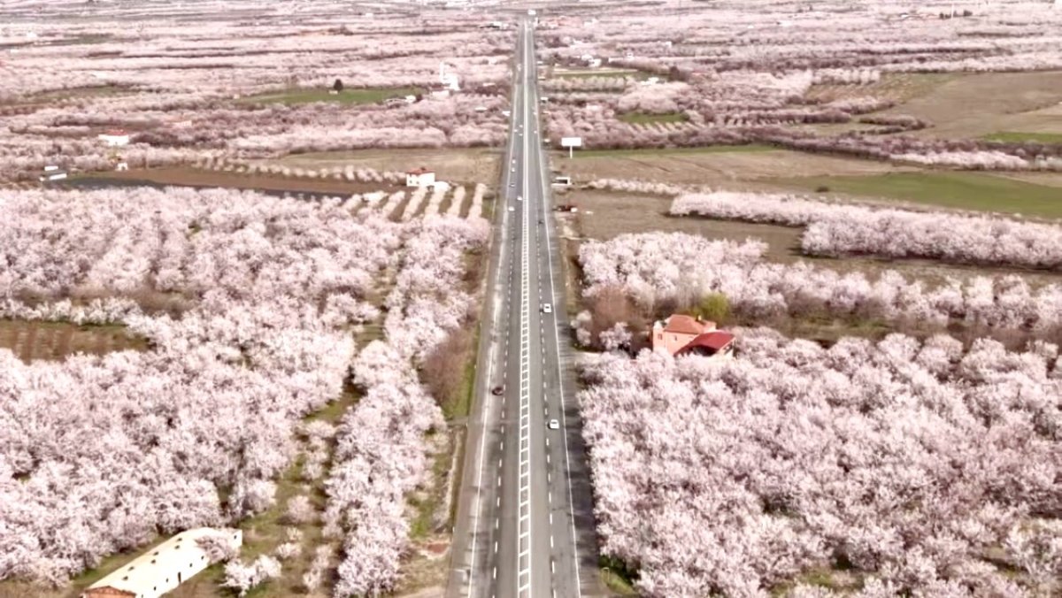 “Donun Ardından Doğan Umut”