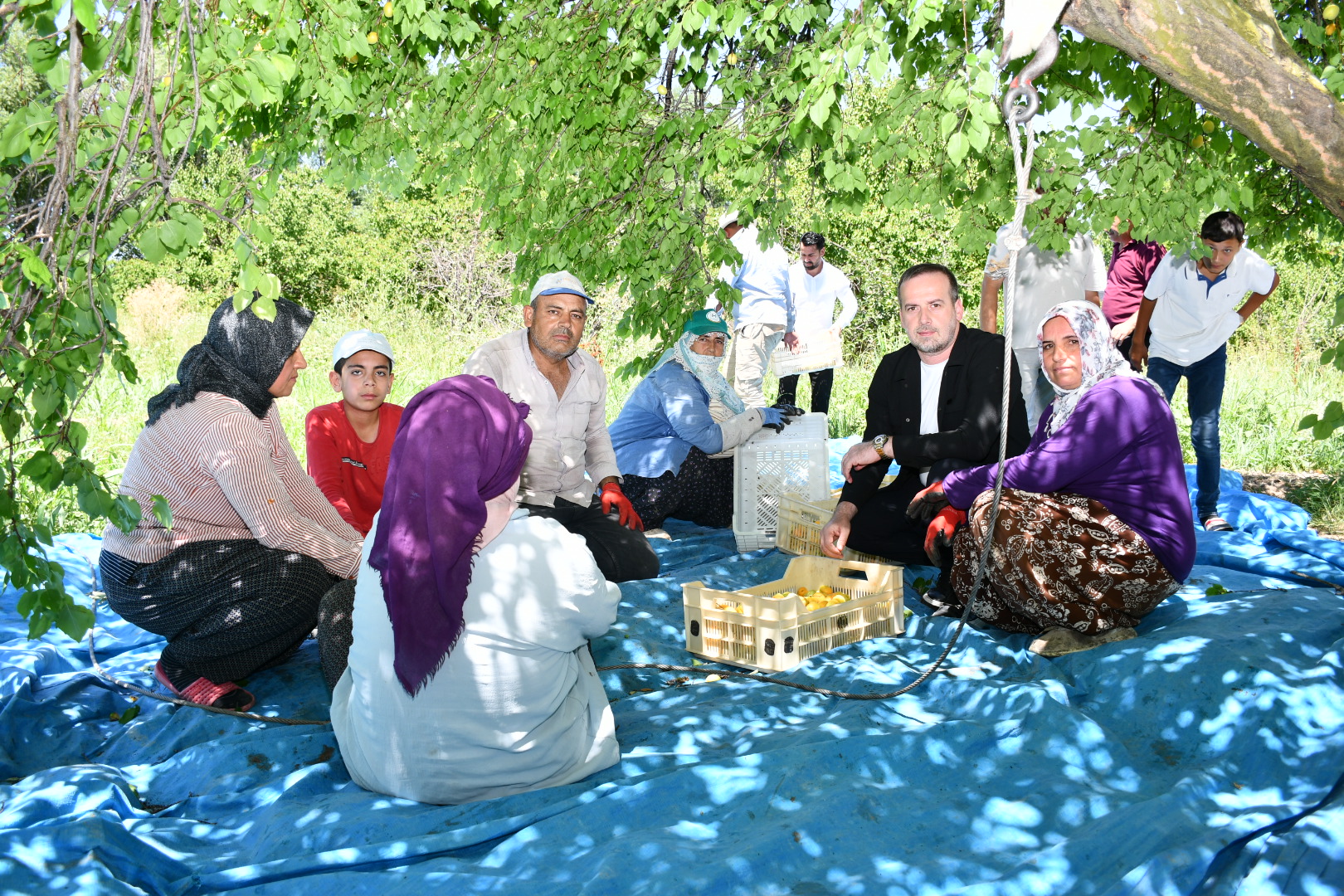 Karademir: 