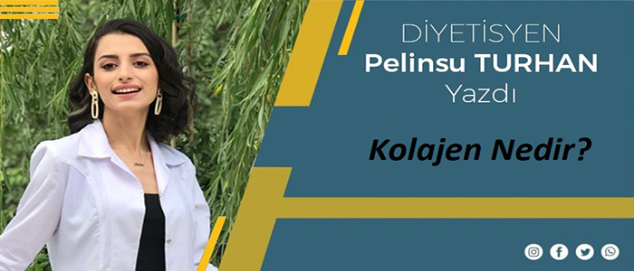‘Kolajen’ Nedir ?
