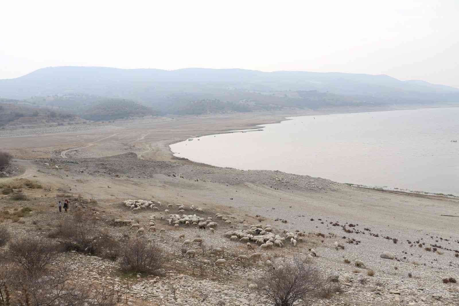 Kuraklık alarmı Malatya için de çalıyor