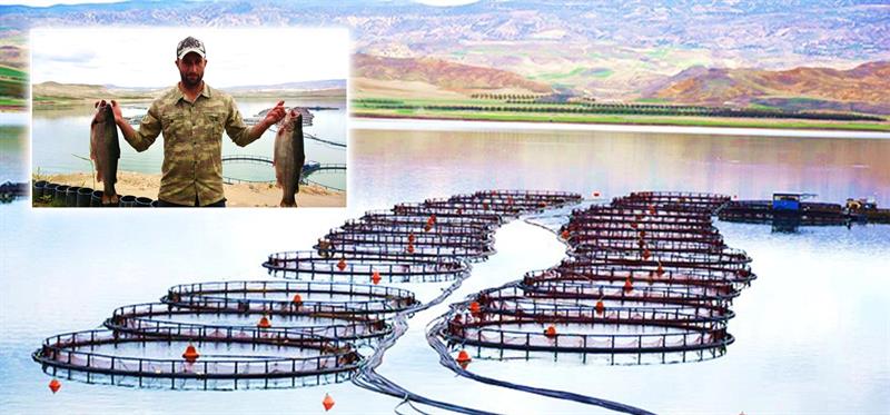 Malatya'da Türk Somonu Üretimi Artıyor