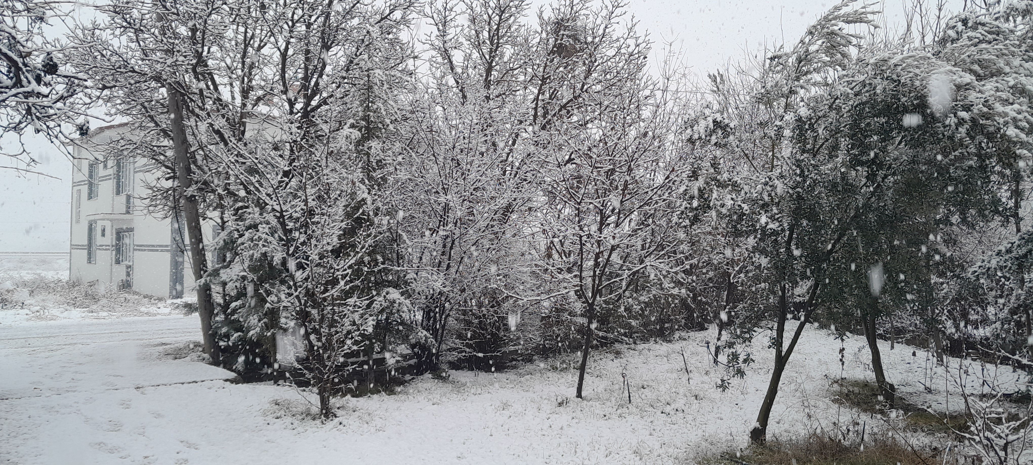 Malatya Güne Karla Uyandı
