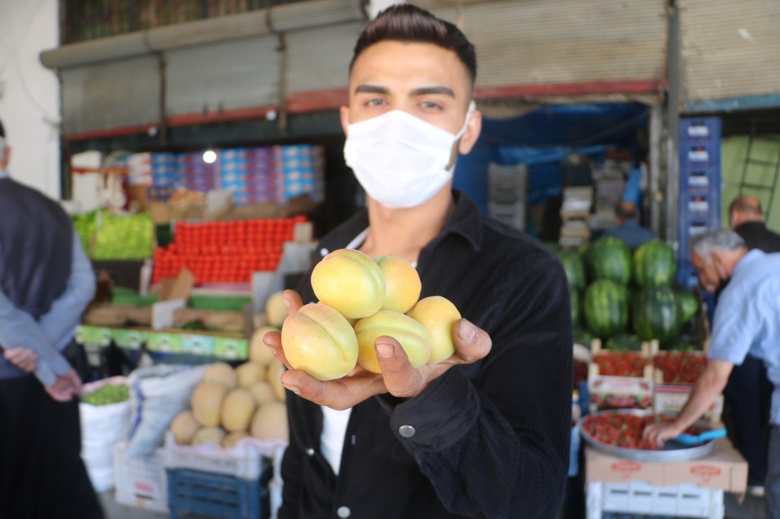 Malatya kayısısı tezgahları süsledi