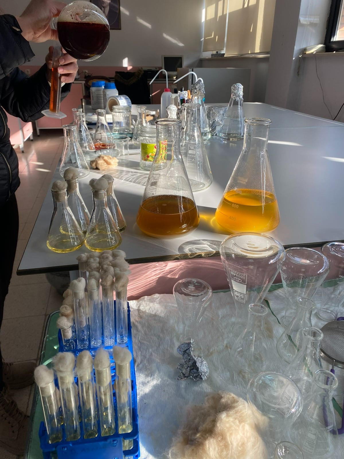 Malatya’nın Gizli Hazinesi: Şifa Saçan Bitki