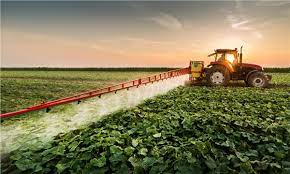 O Başvuru da Son Gün 2 Ocak