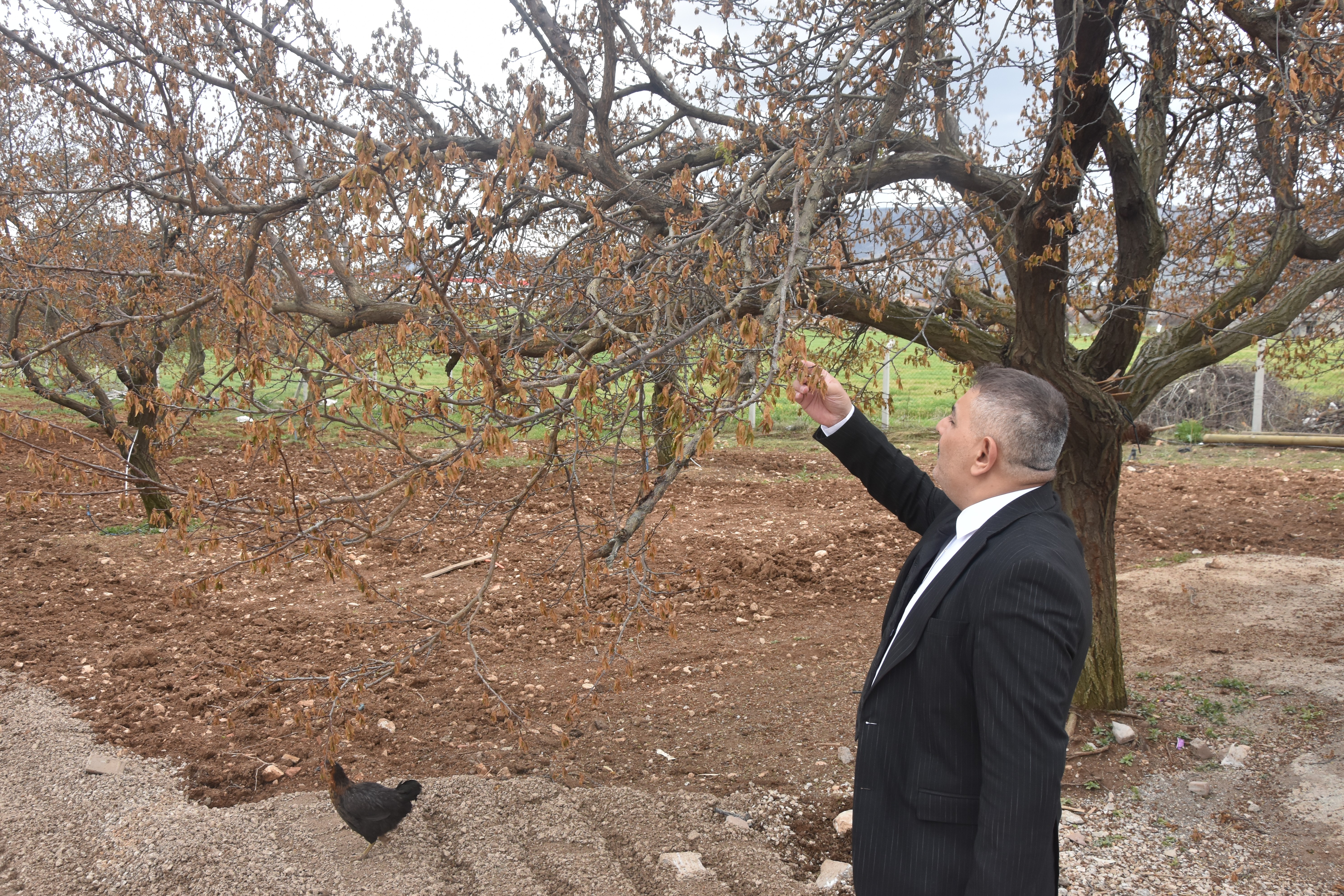 Sadıkoğlu: “Verilecek destekler sadece kayısıyı değil, şehrimizin geleceğini ilgilendiriyor”