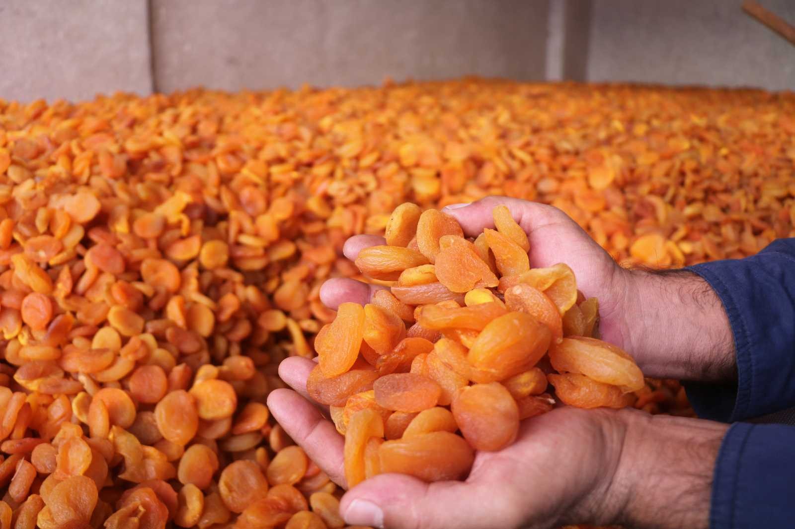 Ünü sınırları aştı, fiyatı rekor kırdı