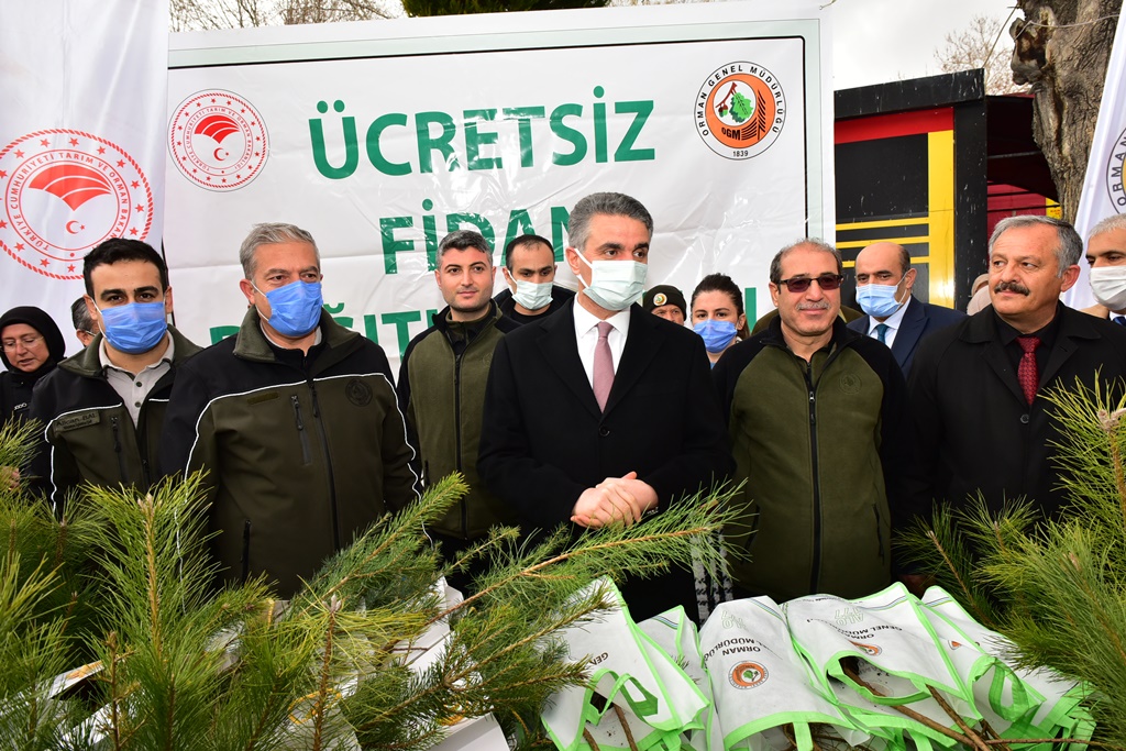 Vali Baruş Vatandaşlara Fidan Dağıttı