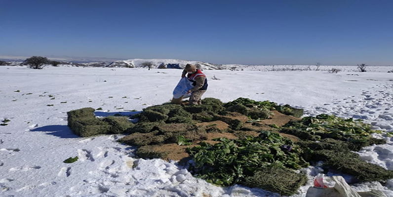 Yaban Hayvanları Unutulmadı