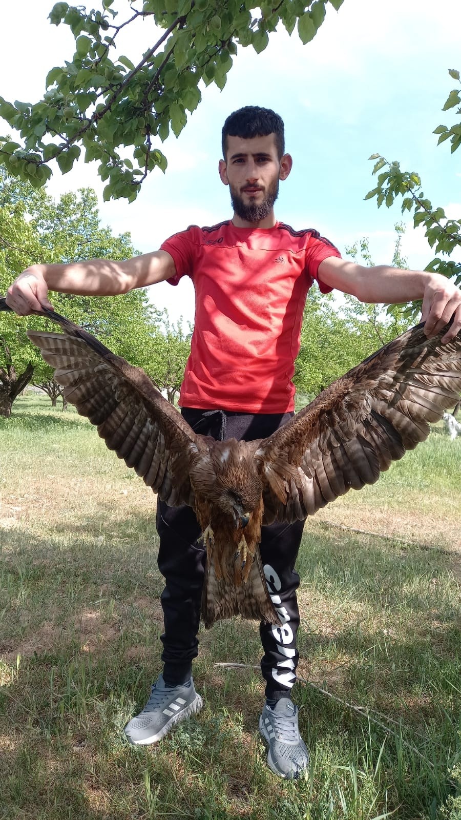 Yaralı Kartal tedavi edilmeyi bekliyor