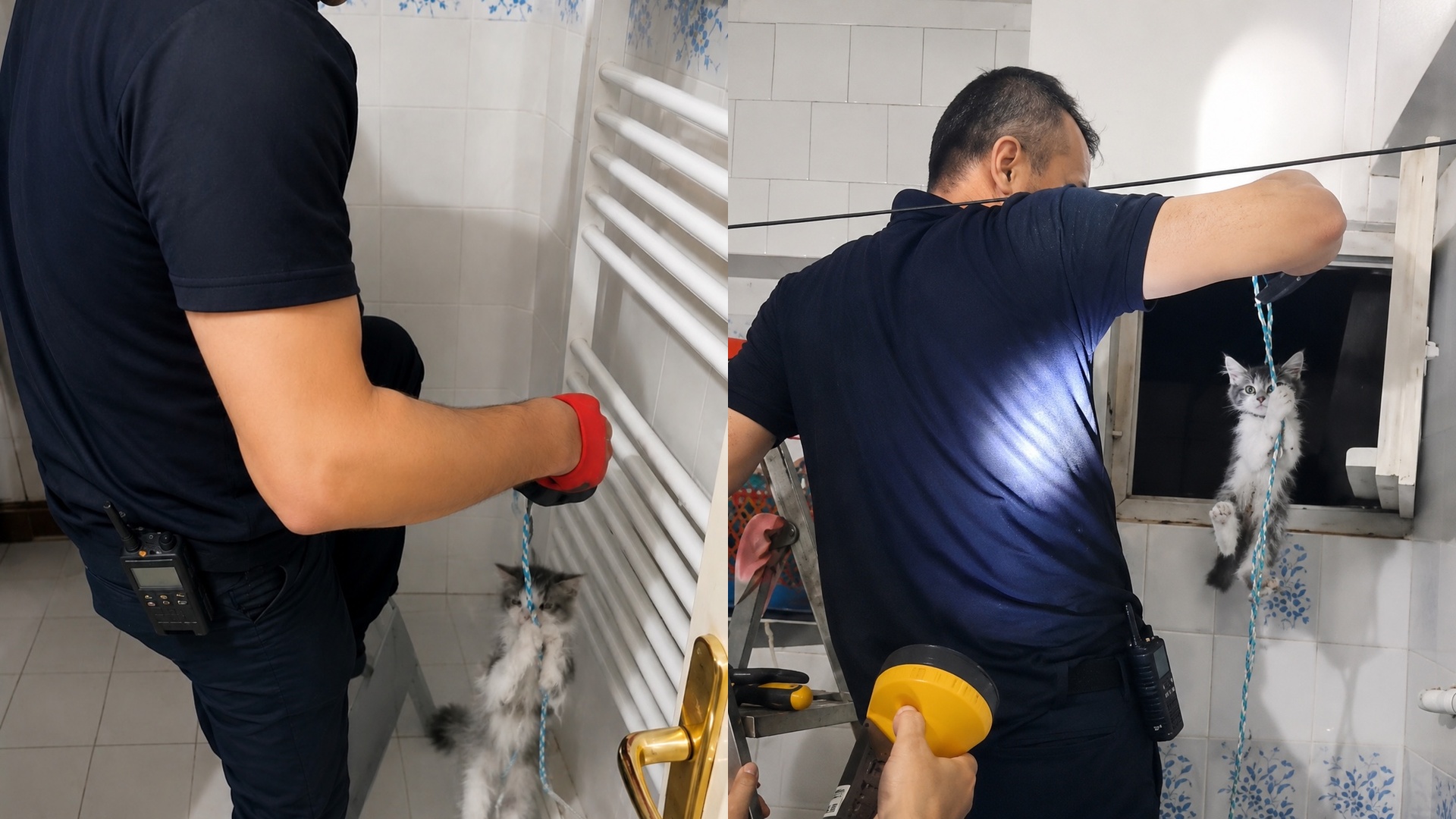 Yavru Kedinin İmdadına İtfaiye Yetişti
