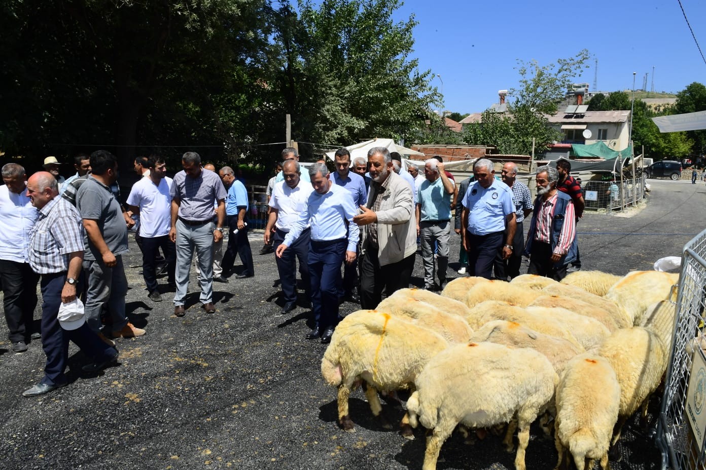 Yeşilyurt’ta bayram hazırlıkları tamamlandı, 44 noktada kurban satış ve kesim işlemleri yapılacak