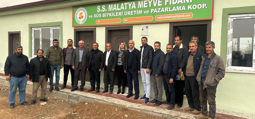 Yetkililerden Uyarı Sertifikasız Fidan Almayın