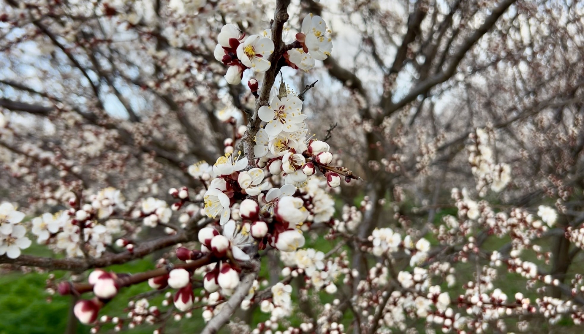 Yıldırım: “Bakım Yapılırsa Verim Ve Kaliteyi Bekliyoruz”